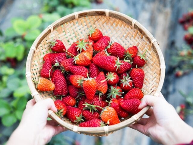 non bloating foods