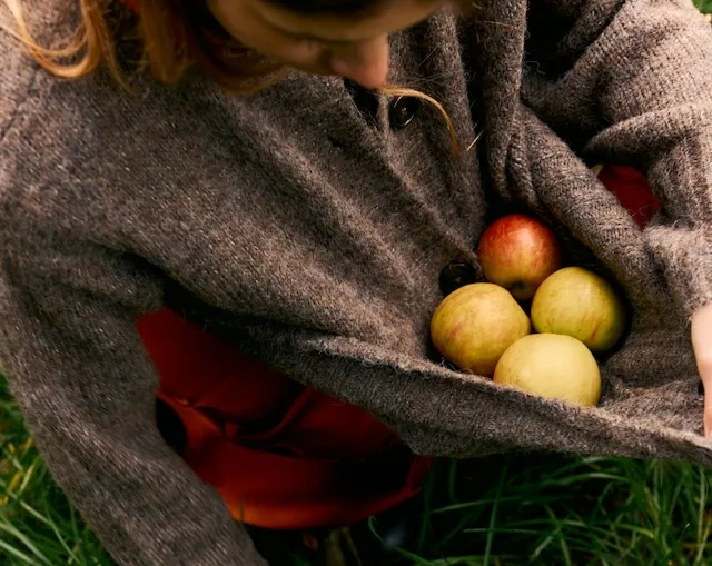 fall snacks